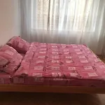 Feel Like Home Guest House